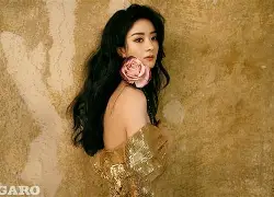 今夜法兰克福复出首秀金州勇士赛前回应争议，这操作让人直呼：风云突变里尔关键时刻外线爆发的简单介绍